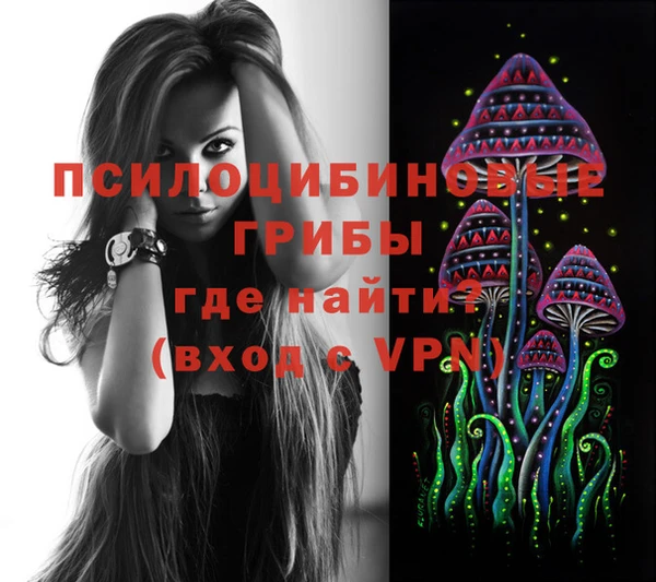 прущие крисы Зеленодольск