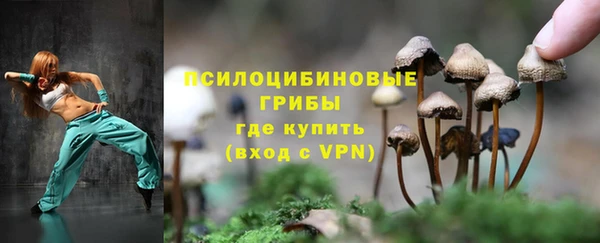 спиды Зерноград