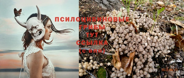 прущие крисы Зеленодольск