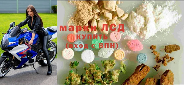 спиды Зерноград
