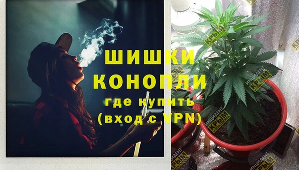 прущие крисы Зеленодольск