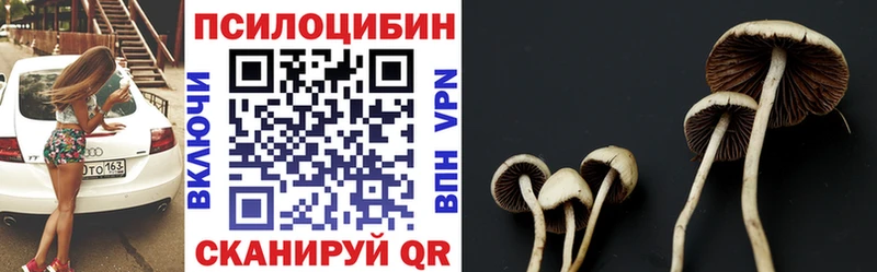 Галлюциногенные грибы Magic Shrooms закладки Ковров